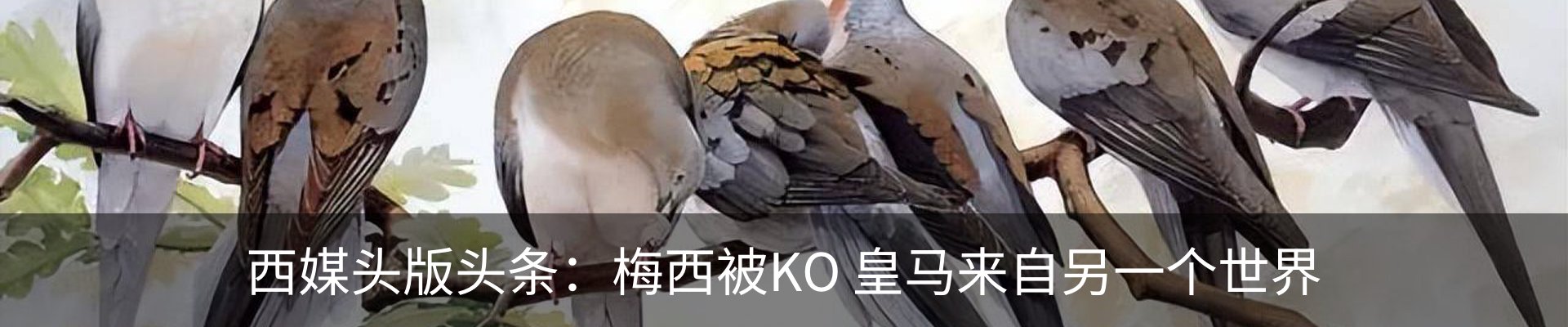 内页banner